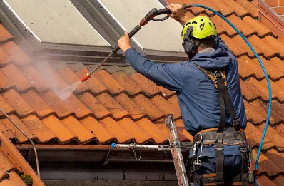 Démoussage et hydrofuge de toiture à la Jarrie-Audouin